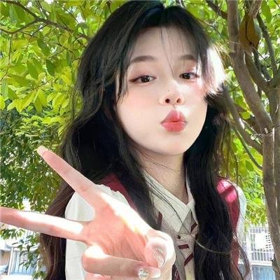 美国豚鼠